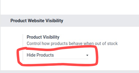 [irfanodoo_portal_pk_website_product_visibility] Hide Out of Stock Products in Website | Auto Hide Website Product  (15.0)
